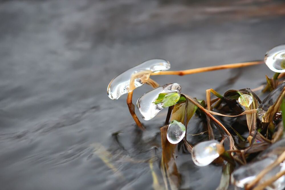 Царство льда и воды.