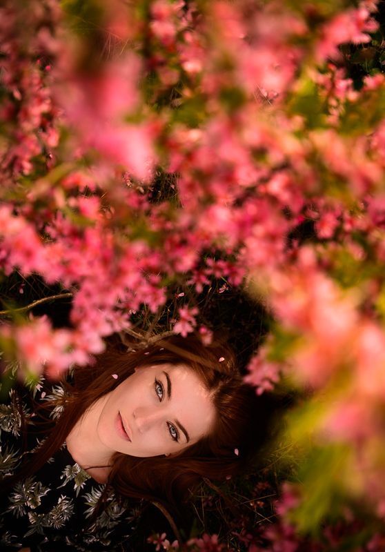 Spring