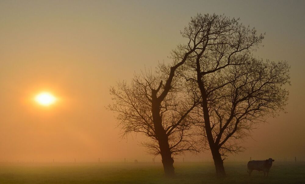 A morning in Lampernisse.