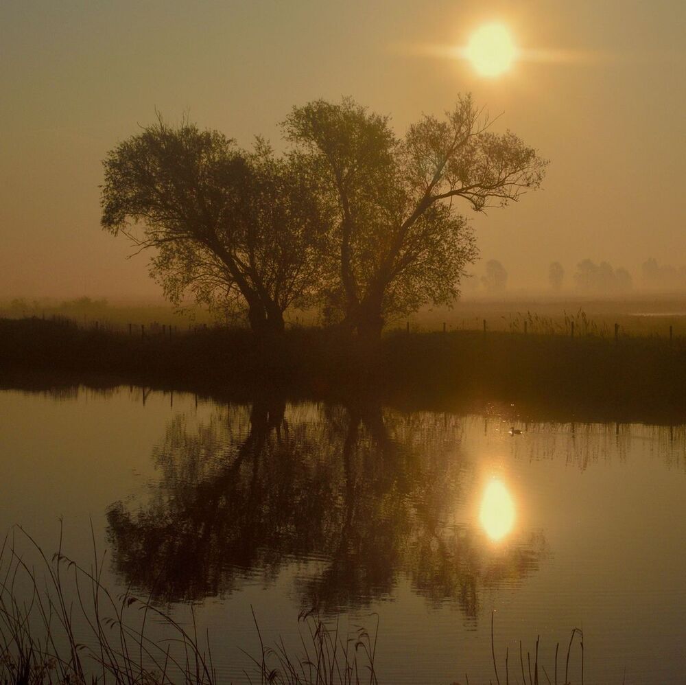 A morning in Lampernisse.