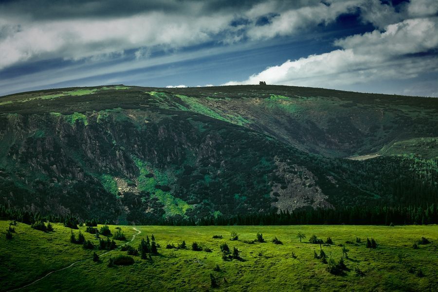 Landscape