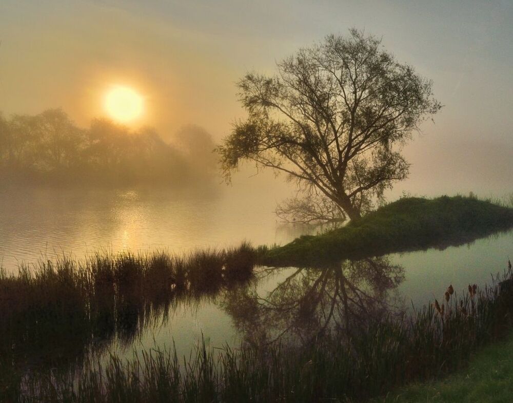 A very foggy morning in my region.