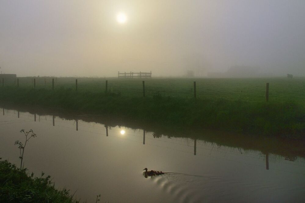 A very foggy morning in my region.