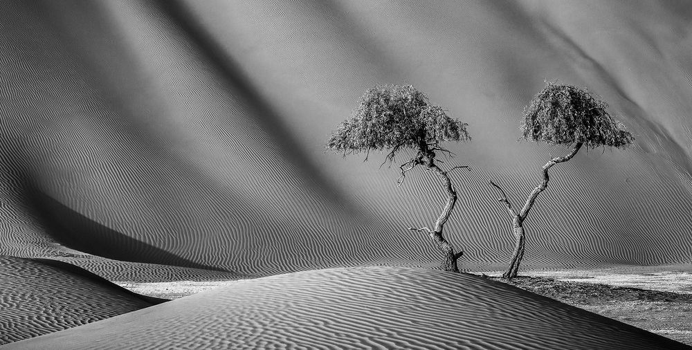 8. Oman. Two lonelies...
