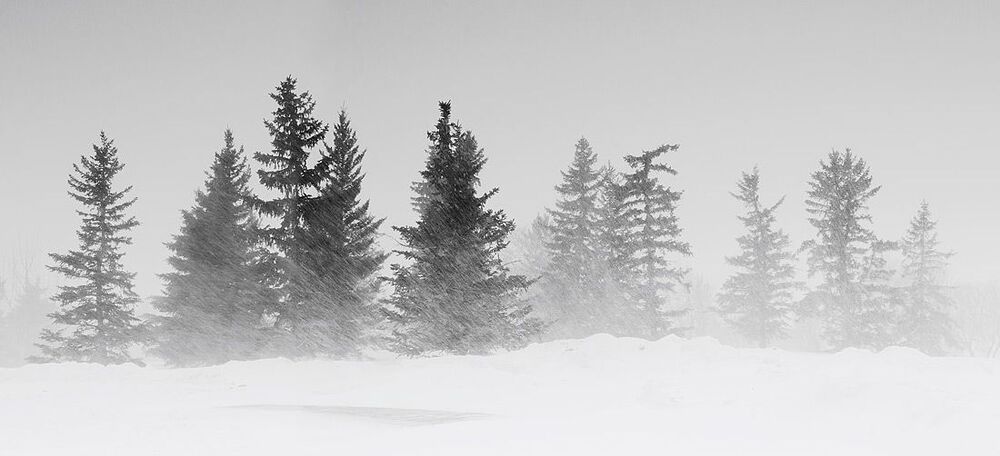 Heavy snowy day