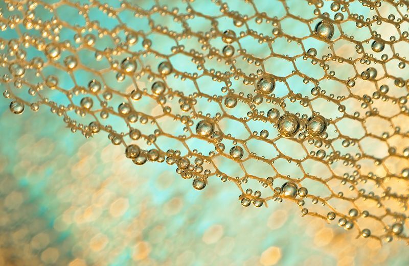 bubbles