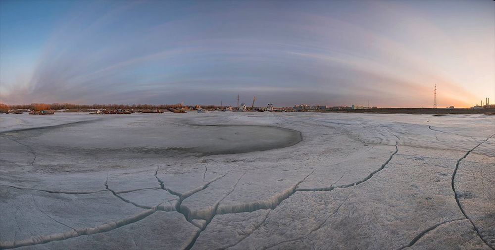 Весенняя паутина