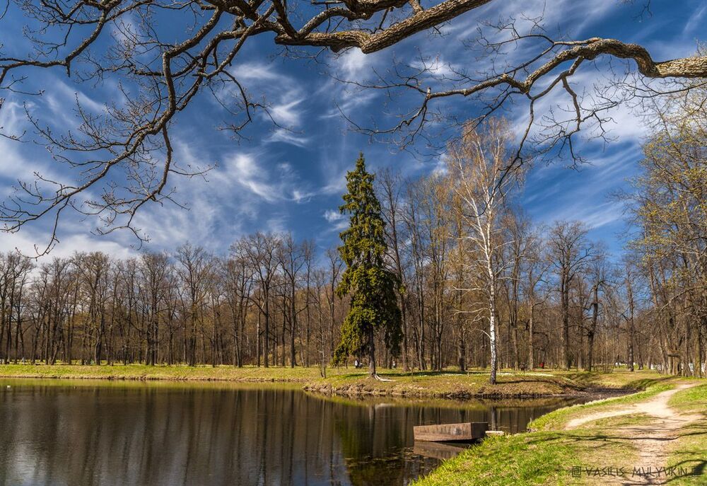 В Александровском парке ...