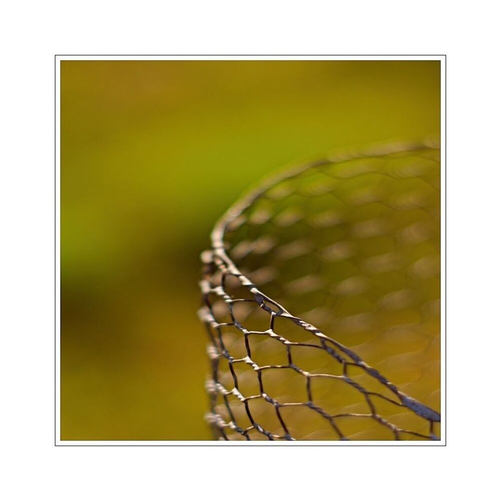 Fence ll