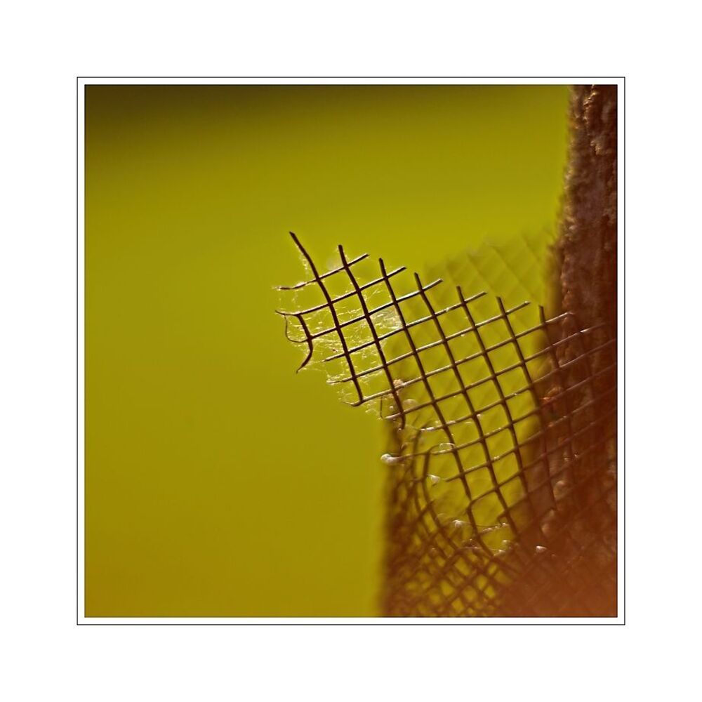 Fence lll