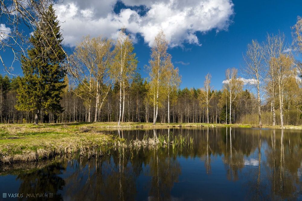 Павловский парк ... и окрестности.