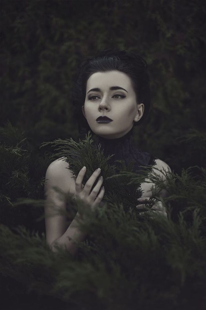 The Melancholy Fantastic