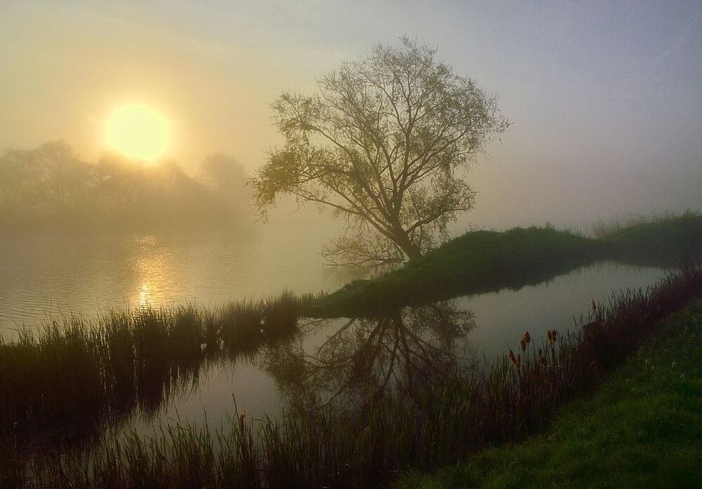A spring morning.