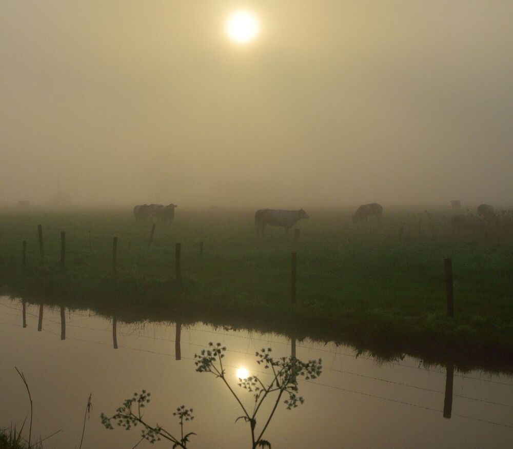A spring morning.