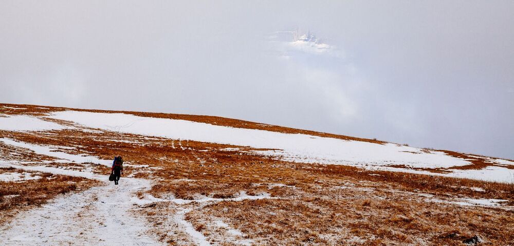 Photo 545052