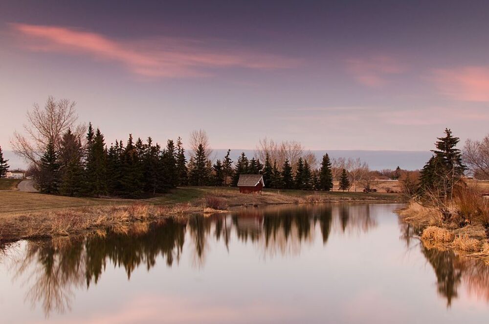 Reflections