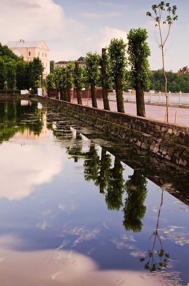 Reflections