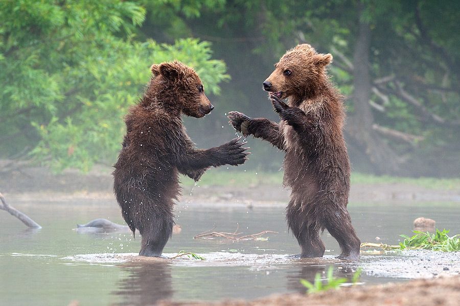 Вот это встреча !