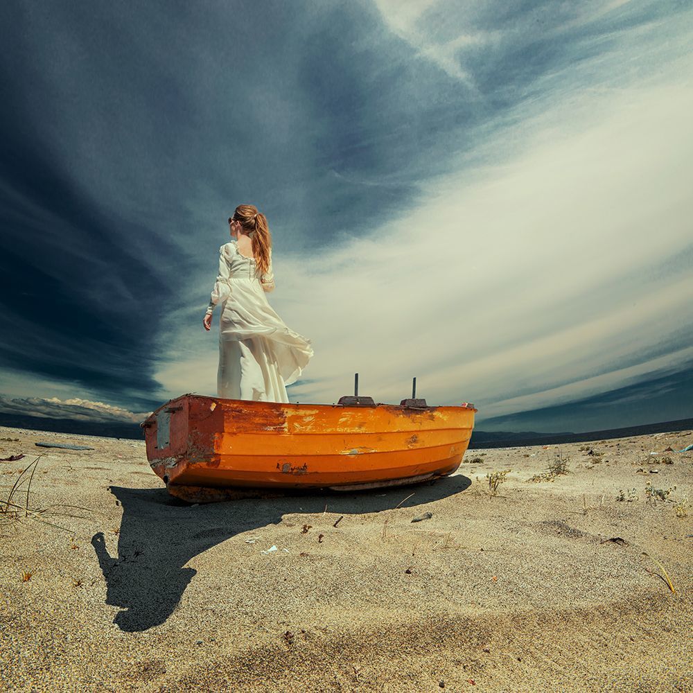 The wild summer wind