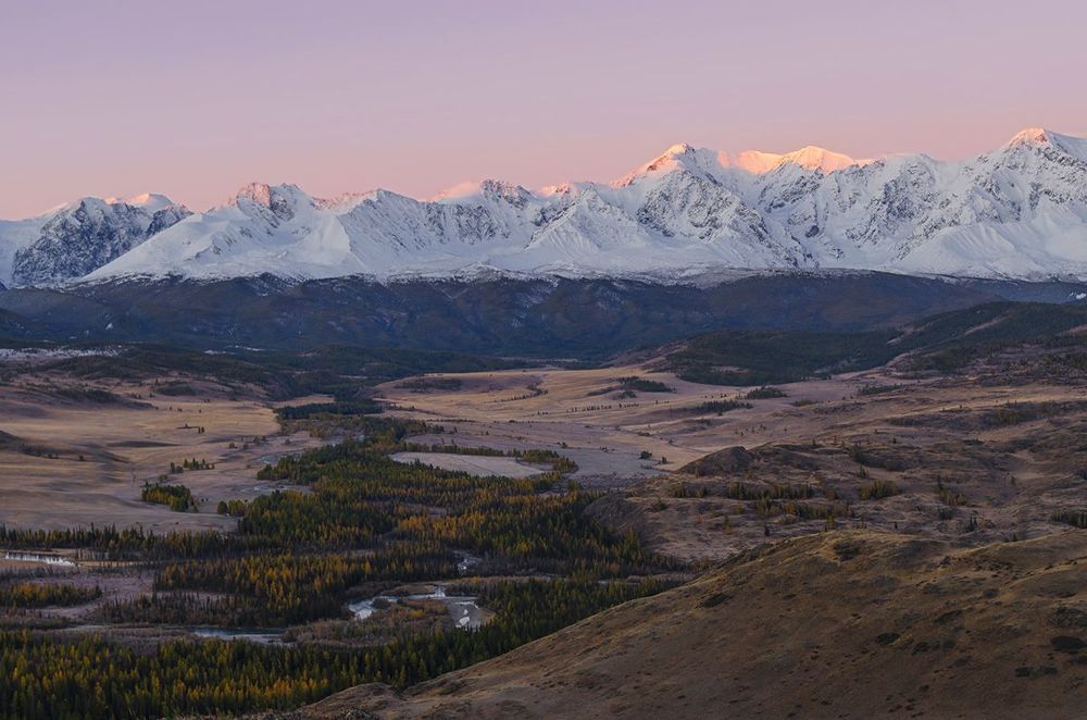 Курай