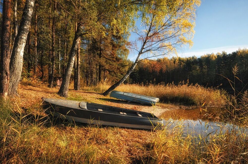 Осенний этюд