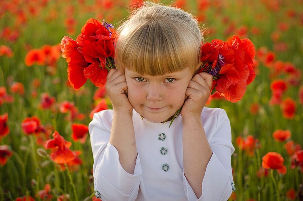 Poppy Seeds
