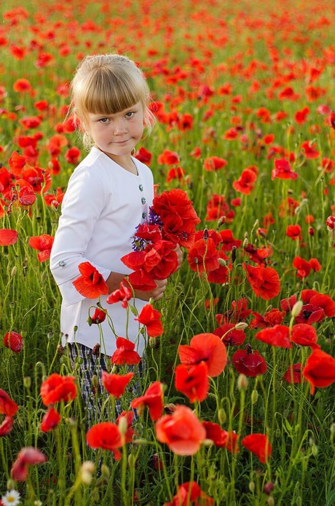 Poppy Seeds