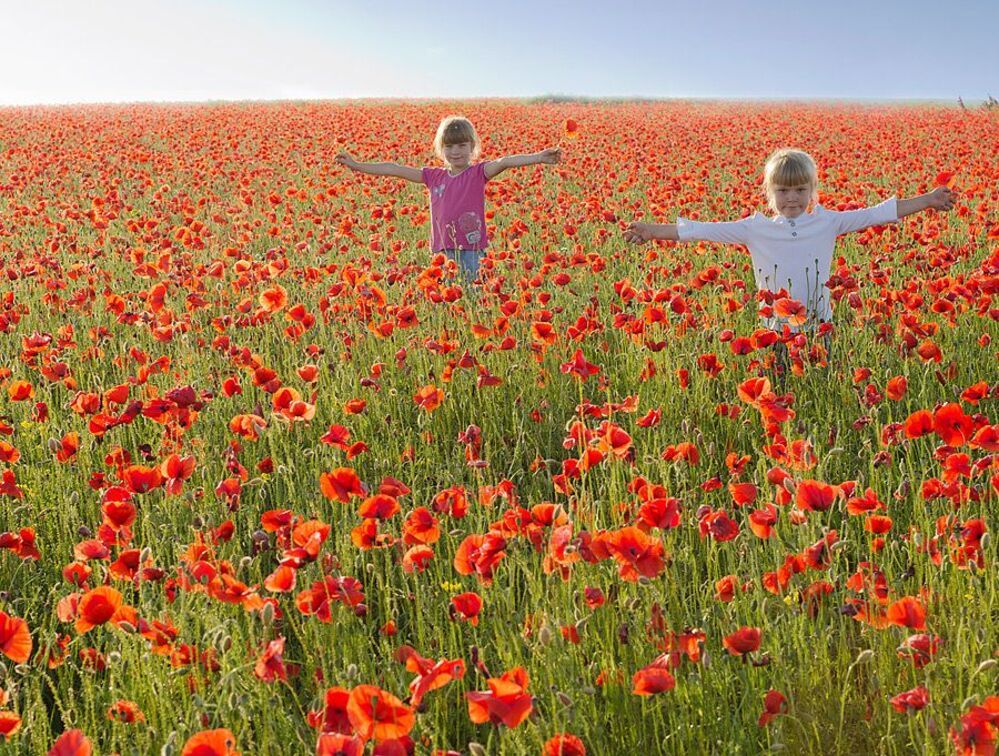 Poppy Seeds