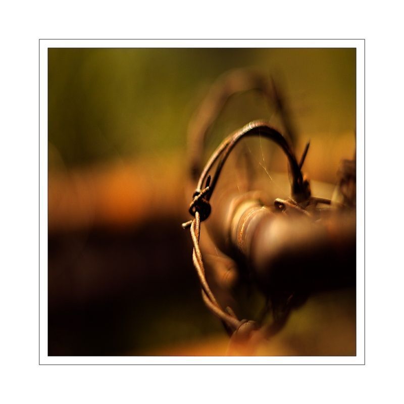 fence