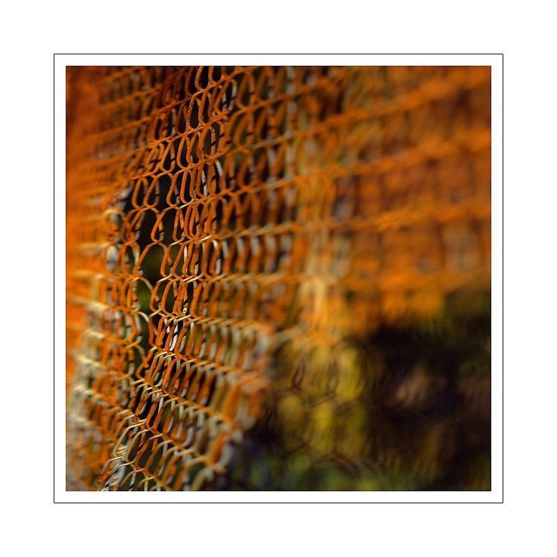 fence