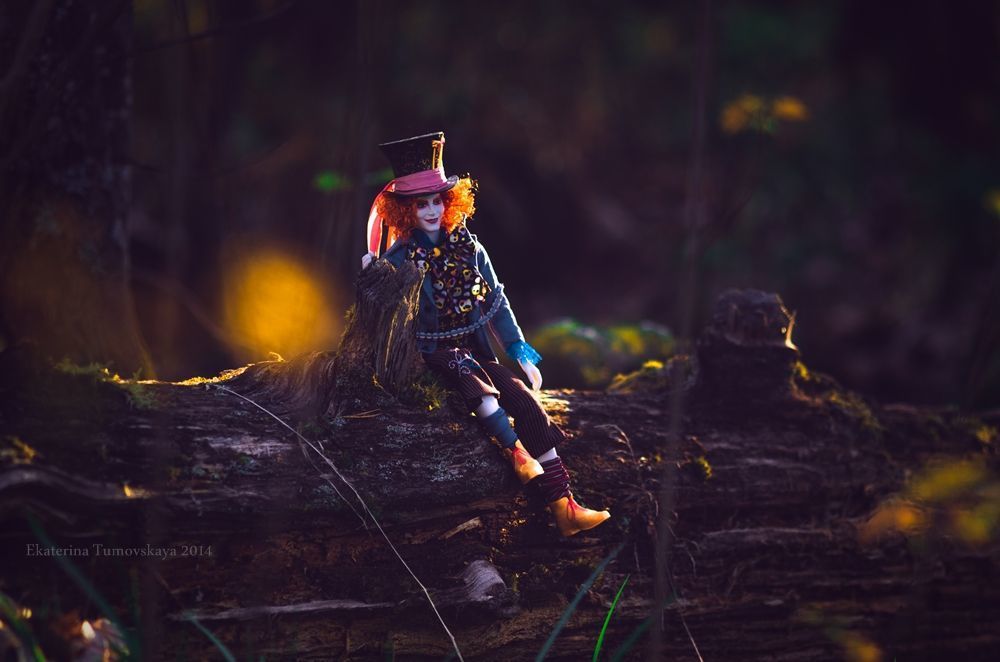 in Wonderland