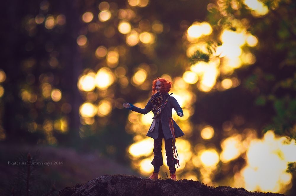 in Wonderland