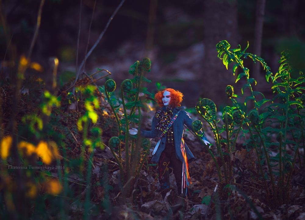 in Wonderland