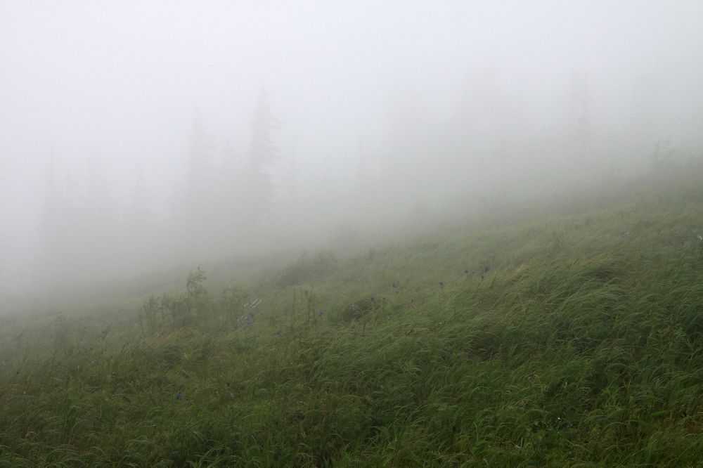 Прогулка в облаках