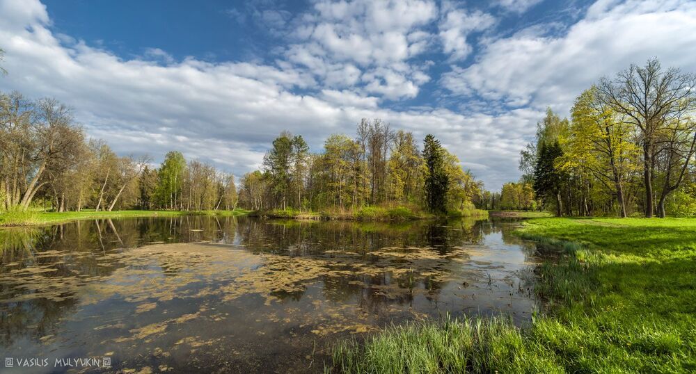 Павловский парк ... и окрестности.