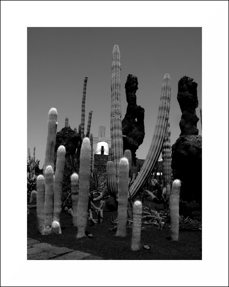 Lanzarote 3