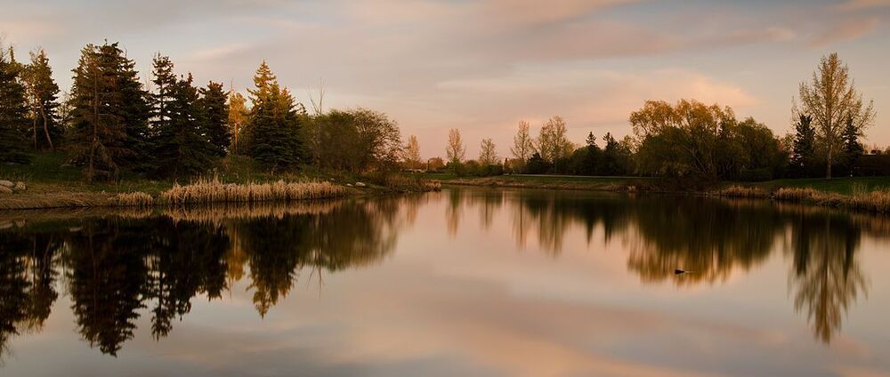 Spring.