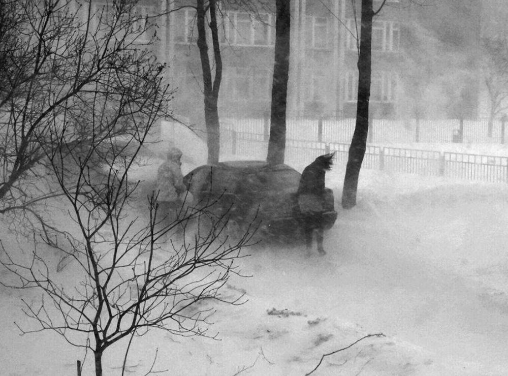Вьюга в городе