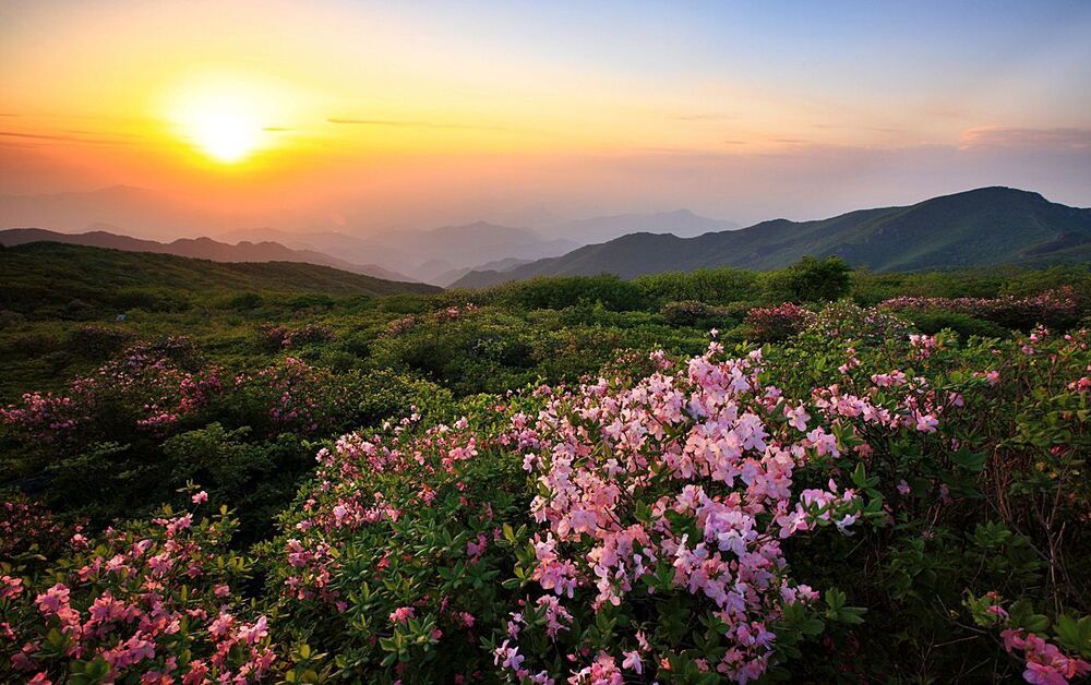 Sundown