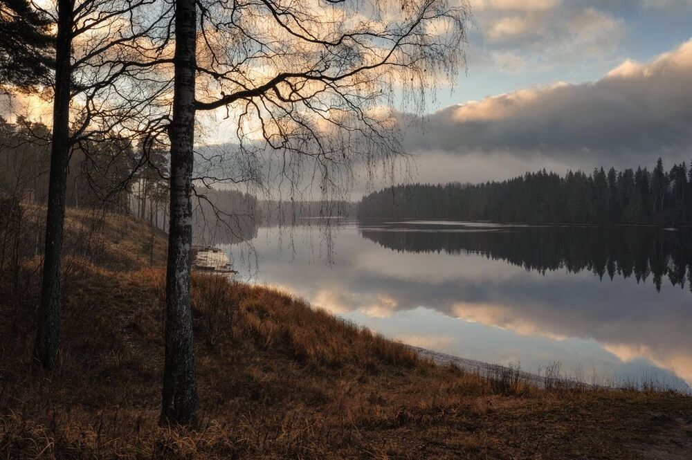 В ноябрьской утренней тиши