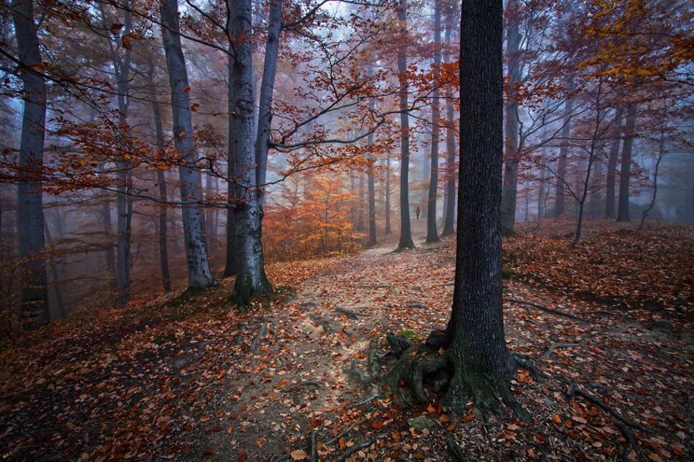 I Was Lost ,I Was Found