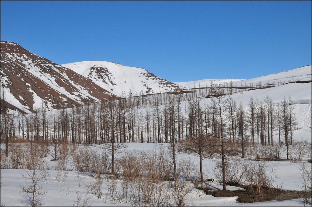 Первый день лета