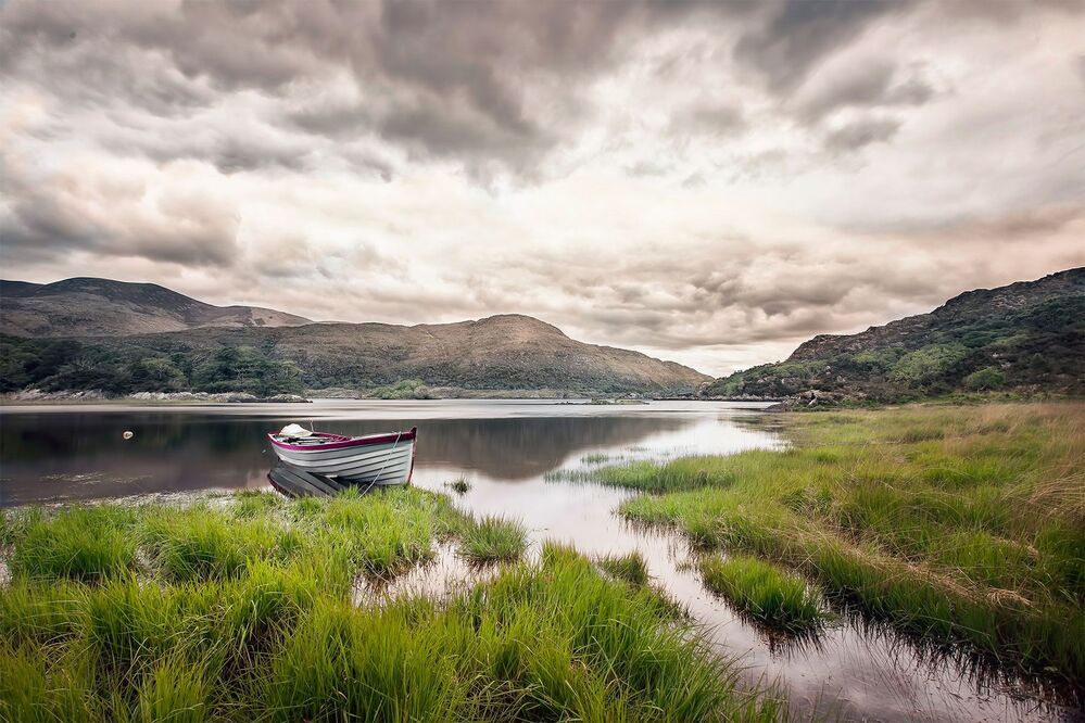Taste of Ireland