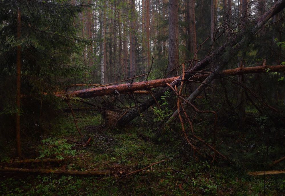 Вечерком