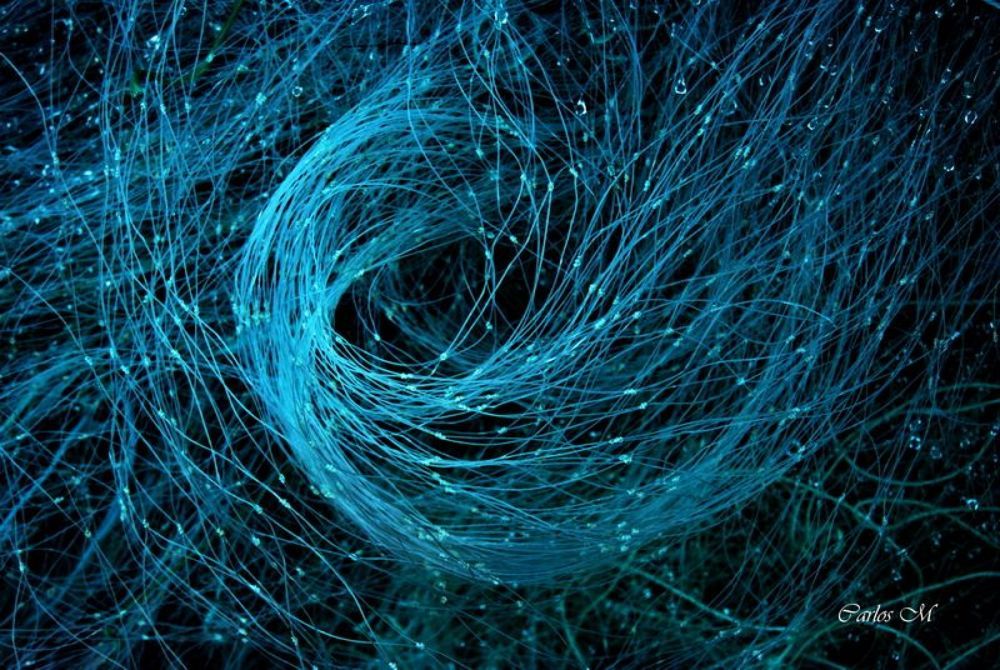 Blue Spiral
