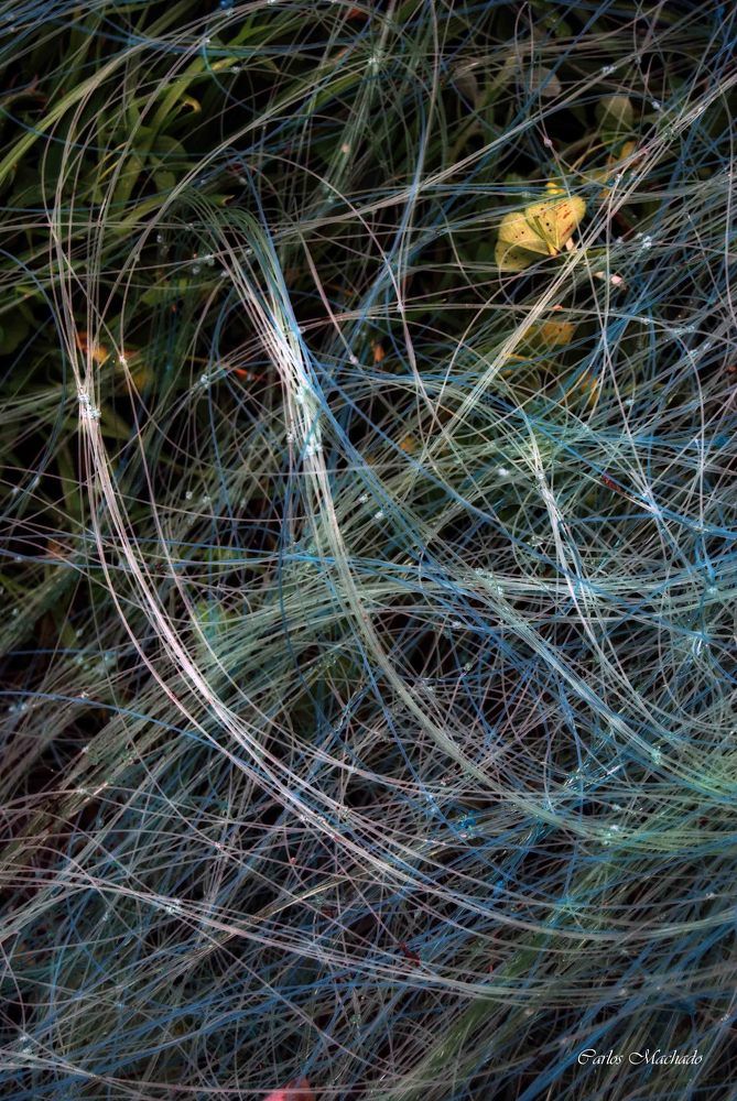 Optic Fishnet Fiber