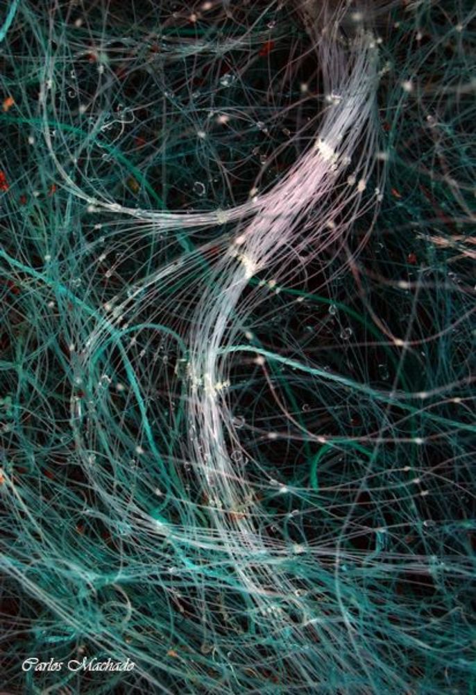 Fishnet Cyclone