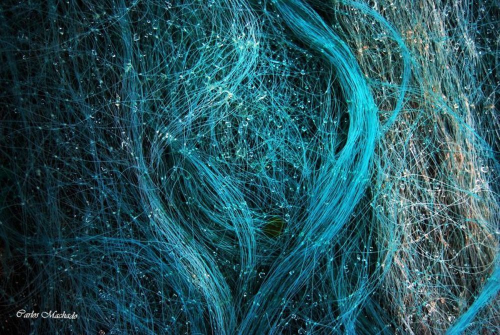 Blue Fishnet Waves
