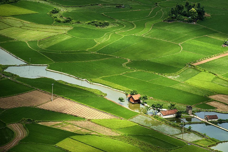 Viet Nam