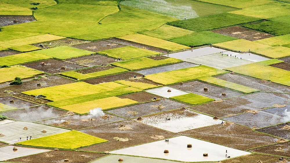 Viet Nam